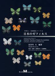 Subtribe Theclina of Japan (Lycaenidae) [English / Japanese] | NHBS  Academic & Professional Books