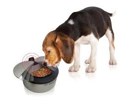 This keeps pet food / d. Sharper Image Motion Pet Feeder Review Does It Work For A Cat
