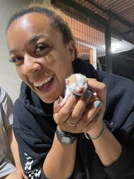 Fine line artist booking for November