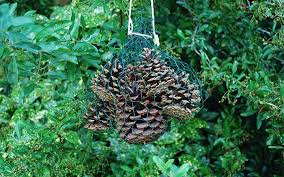 You will need a large wooden box with one open side. How To Build A Pine Cone Ladybird Hotel Wild About Gardens