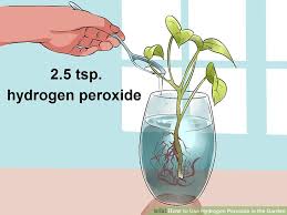 3 ways to use hydrogen peroxide in the garden wikihow