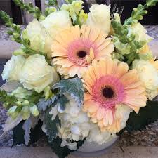 We did not find results for: Peaches And Daisies By Westwood Flower Shop