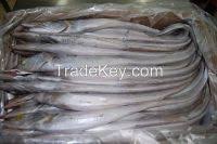 Check spelling or type a new query. Malaysia Pollock Fish Fillet Malaysian Pollock Fish Fillet Manufacturers Made In Malaysia