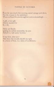 Poppies In October Sylvia Plath Sun And Clouds Soul Searching