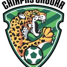 In 4 (40.00%) matches played away team was total goals (team and opponent) over 2.5 goals. Jaguares De Chiapas S Stream