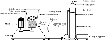 Students answer questions and color the egg according to directions. Frontiers A Survey Of Recent Patents In Engineering Technology For The Screening Separation And Processing Of Eggshell Bioengineering And Biotechnology