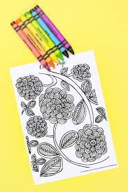 Among other waits bear waking from winter sleep, butterfly sitting if yes, then this set os spring coloring sheets should be one of your favorites. Free Spring Coloring Pages For Adults The Country Chic Cottage
