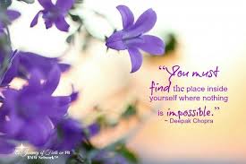 Find Yourself Inspiring Life Quotes Pretty Purple Flowers Purple Flowers Wallpaper Pretty Flowers Lilac Flowers