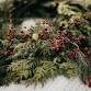 DIY Holiday Porch Planter Workshop event image
