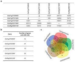 Genes Free Full Text Diverse Roles Of Max1 Homologues In Rice Html