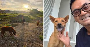 Watsons Club Celebrates 15 Years With Its Biggest Reward Yet!