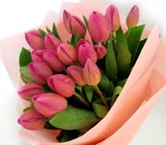 Kami juga akan merekomendasikan pupuk terbaik yang bisa dibeli secara online. Rangkaian Bunga Tulip Untuk Pacar Dan Kekasih Florist Jakarta Toko Bunga Di Jakarta Barat 0822 99148647 Www Bungarawabelong Com