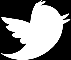 Image result for twitter logo black