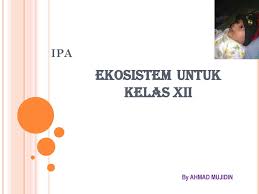 Ekosistem Untuk Kelas Xii Ppt Download