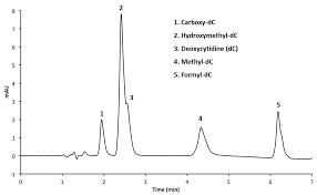 Mps Free Full Text High Performance Liquid Chromatography Separation Of Epigenetic Cytosine Variants Html