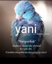 Efsane Efsane Adli Kullanicinin Dua Panosundaki Pin Hayaller Danca