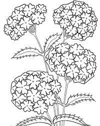 20 Dibujos De Primavera Para Colorear Bebeazul Top Flower Coloring Pages Coloring Pages For Grown Ups Coloring Pages