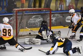 — the whl (@thewhl) march 13, 2021. 2015 Brick Summary
