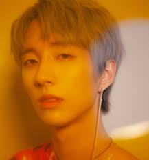 Holland Holland Singer K Pop Star