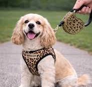 Retractable Dog Leashes | Durable, Stylish & Adjustable Pet ...