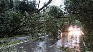 Bäume wurden beschädigt und entwurzelt, auch straßen wurden überflutet und mussten gesperrt werden. Unwetter In Drei Stunden Fast Gesamte Monatsmenge An Regen Gefallen Sn At
