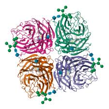 Image result for Peramivir