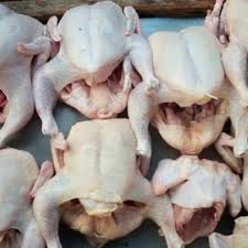 Jual Ayam Utuh Segar Ukuran Hidup 1 5 Kg Di Lapak Mochamad Riyansyah Bukalapak