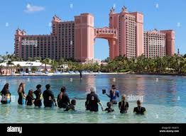 Swim With Dolphins | Dolphin Cay | Atlantis Bahamas