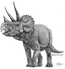 Triceratops Horridus Dinosaur Pictures Dinosaur Illustration Dinosaur Drawing