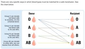 blood group chart match for marriage in marathi