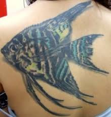 During lure development, tattoo's tackle worked with largemouth and smallmouth bass experts in the usa and with expert pike anglers in europe. Saltwater Fish Tattoos