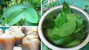 Inilah orang yang pertama tersebar video itu. Mumtazz Tasnim Herbs