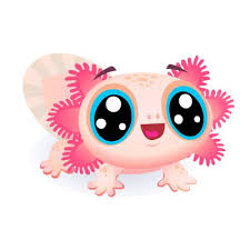 The axolotl is a type of amphibian that looks like a salamander…let's draw one! 51 Axolotl Drawing Ideas Axolotl Axolotl Cute Drawings