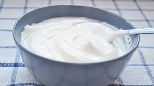 easy homemade mayonnaise recipe