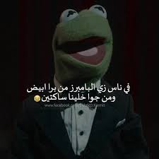 Pin On Eldofd3 Kermit