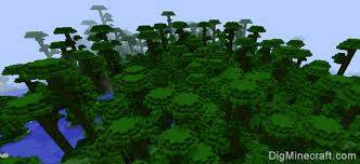 Jungle In Minecraft