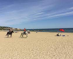 We would like to show you a description here but the site won't allow us. Strande Sudfrankreich Okzitanien Provence Cote D Azur Uberblick