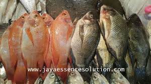 Resep Umpan Jitu Ikan Nila Merah Yang Tentunya Sangat Ampuh Hanya Dengan Menggunakan Bahan Tambahan Yaitu Jaya Essen Oplosan Terbukti Unggul D Ikan Essen Merah