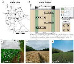 Limited time sale easy return. Microorganisms Free Full Text Relative Abundances Of Species Or Sequence Variants Can Be Misleading Soil Fungal Communities As An Example Html