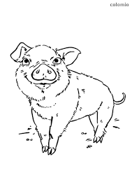 Choose a design, print it out, and color it in. Animals Coloring Pages Free Printable Animals Coloring Sheets Page 17