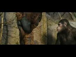Tom Felton In Rise Of The Planet Of The Apes Clip Rise Of The Planet Of The Apes Awakening Clip Youtube