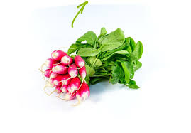 White Hailstone Radish Taste Up