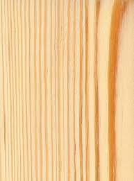 Pine in general is a more economical wood and is prone to some slight warping. Caribbean Pine The Wood Database Lumber Identification Softwood