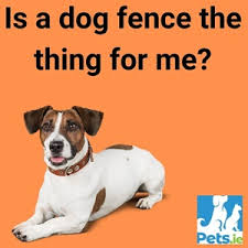 Ireland leading supplier of petsafe radio dog fences, no bark collars, dog runs and pens. Dog Fences Ireland Is A Dog Fence The Thing For Me Pets Ie