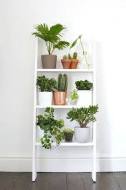 Minimalist Shelves Plant Decor Plant Shelves Plants