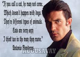 Best eleven admired quotes by antonio banderas pic Hindi via Relatably.com