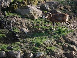 Parco Nazionale del Circeo: L'Area Protetta