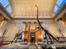 Barosaurs rearing at a attacking Allosaurus to protecting it's baby