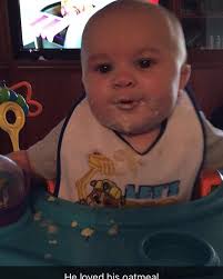 Oatmeal living his best life!! 😎