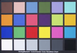 Matching Color Between Canon Xl1 And Xl2